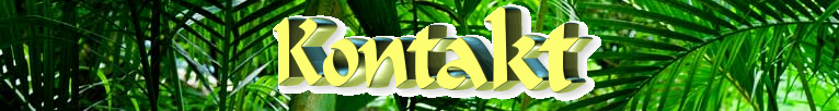 kontakt